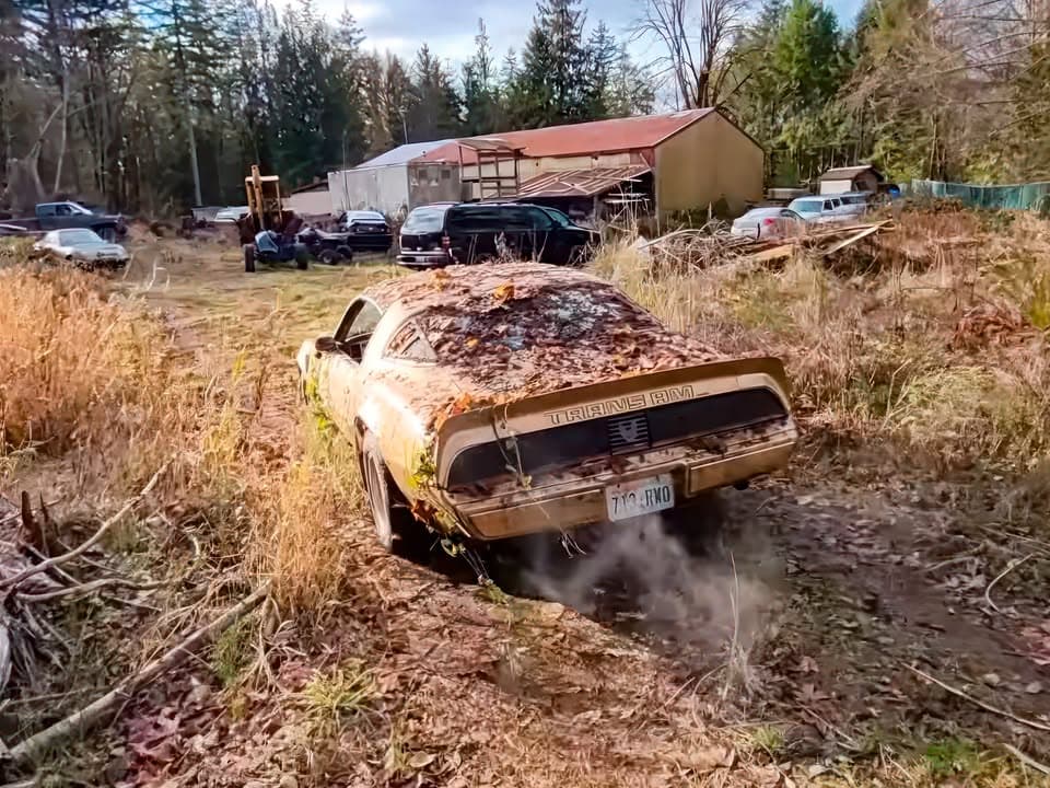 🇸 В США знайшли цінний Pontiac Firebird залишений в лісах на десятиліття Блогери з ютуб-каналу D2K Motors нещодавно показали нову цікаву знахідку - 4