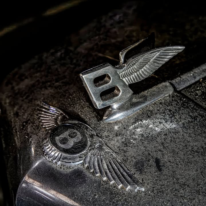 Найбільша колекція "капсул часу" із більше 230 класичних авто виставлена на аукціон Перед вами - колекція 🇳🇱 Ада Палмена, яка привернула увагу поціновувачів ретро авто зі всього світу Містер Палмен почав збирати… - 9