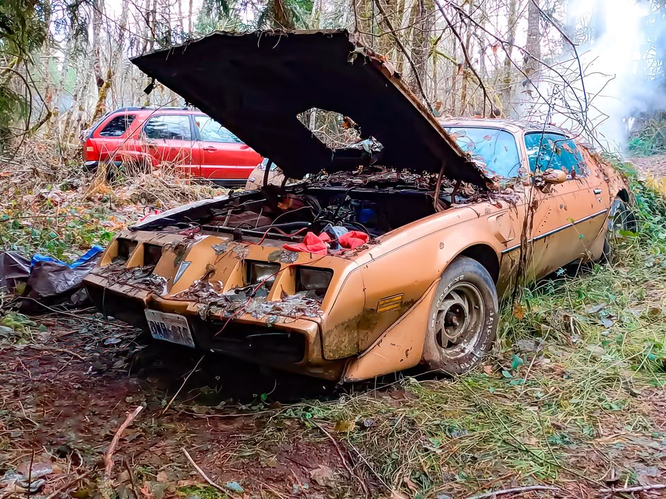 🇸 В США знайшли цінний Pontiac Firebird залишений в лісах на десятиліття Блогери з ютуб-каналу D2K Motors нещодавно показали нову цікаву знахідку - 1