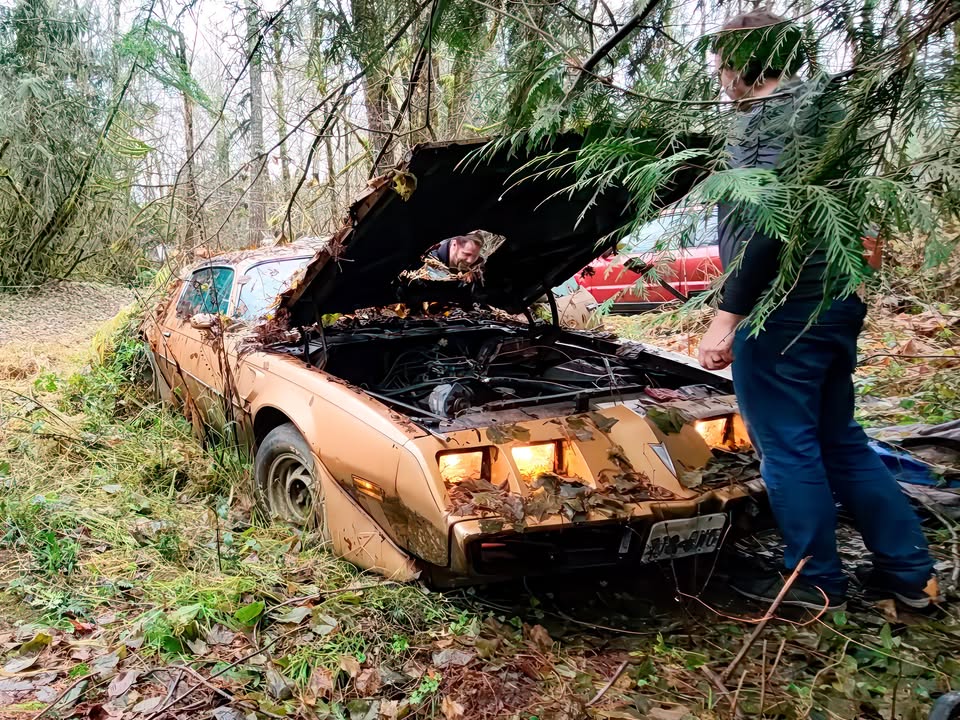 🇸 В США знайшли цінний Pontiac Firebird залишений в лісах на десятиліття Блогери з ютуб-каналу D2K Motors нещодавно показали нову цікаву знахідку - 2