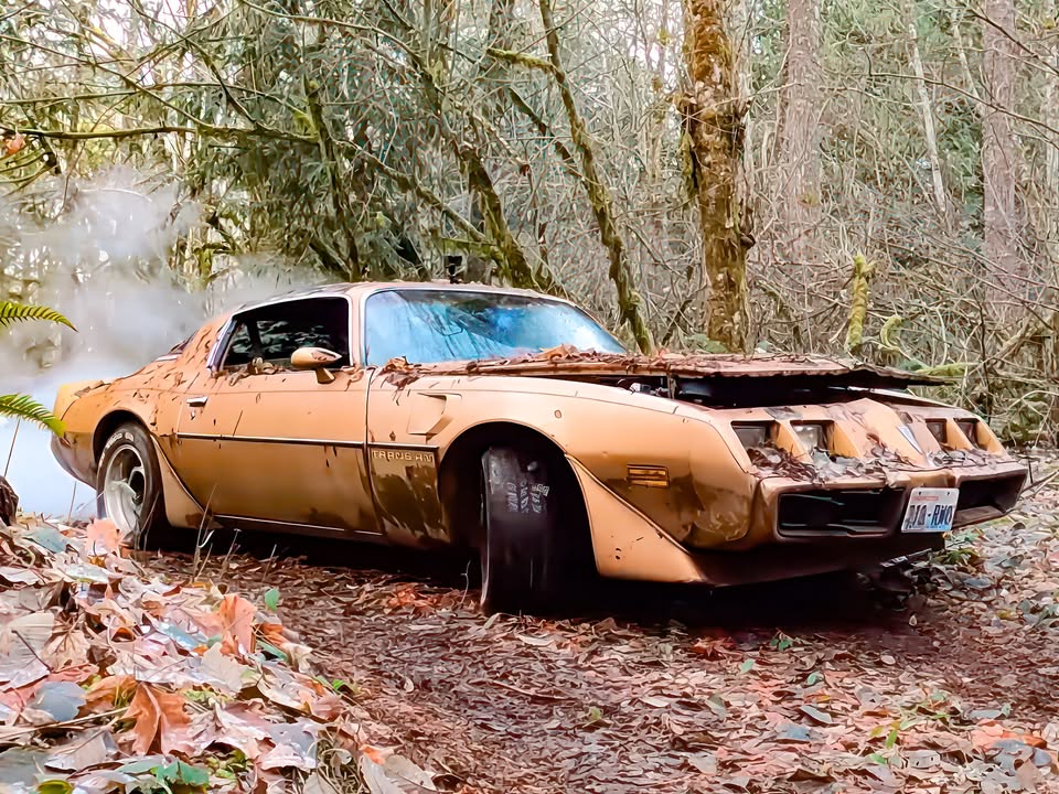 🇸 В США знайшли цінний Pontiac Firebird залишений в лісах на десятиліття Блогери з ютуб-каналу D2K Motors нещодавно показали нову цікаву знахідку - 3