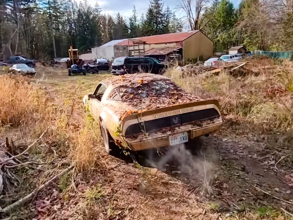 🇸 В США знайшли цінний Pontiac Firebird залишений в лісах на десятиліття Блогери з ютуб-каналу D2K Motors нещодавно показали нову цікаву знахідку - 4