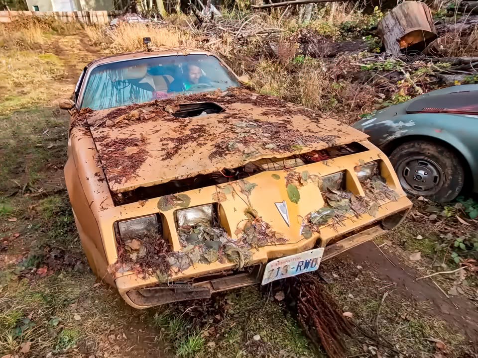 🇸 В США знайшли цінний Pontiac Firebird залишений в лісах на десятиліття Блогери з ютуб-каналу D2K Motors нещодавно показали нову цікаву знахідку - 5
